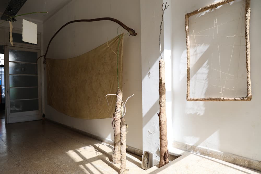 Hacer un Bosque (Making a Forest) — View 5 — Jay Lee