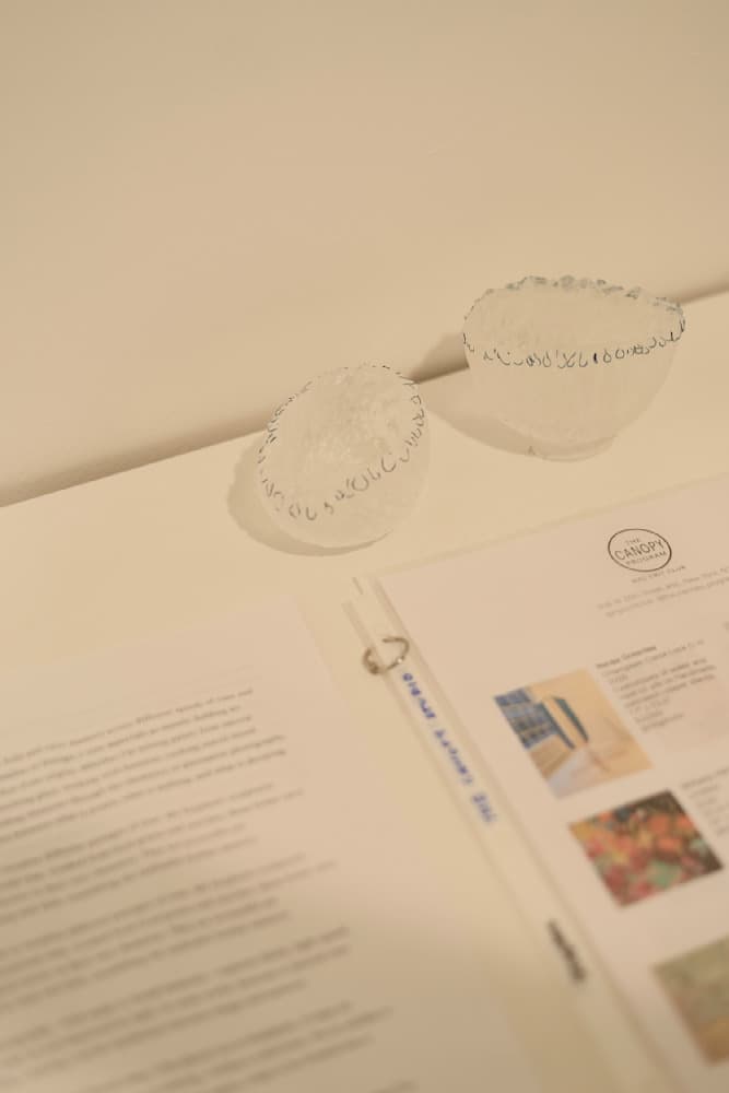 Held/Hidden — View 8 — Jay Lee