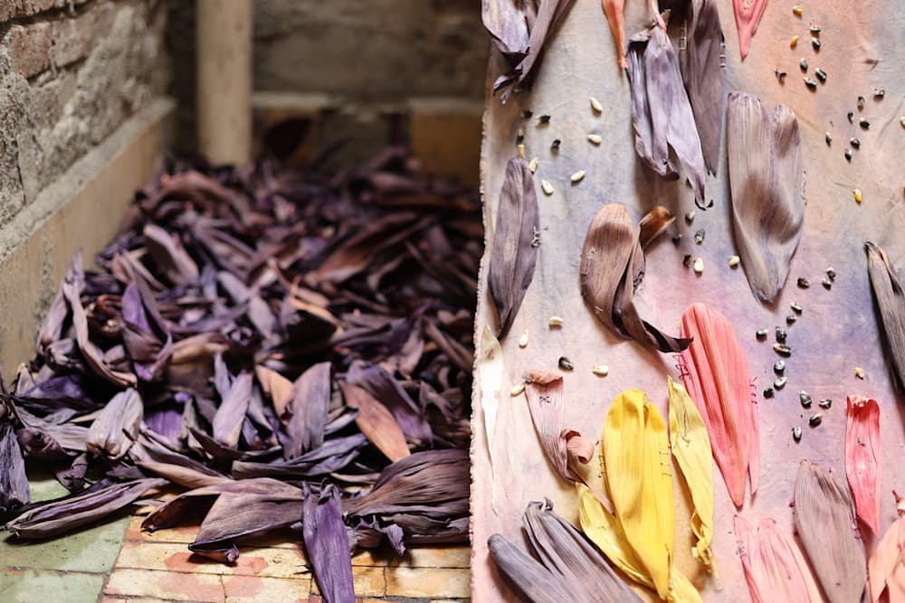 Memories of Corn and Rice — View 6 — Jay Lee