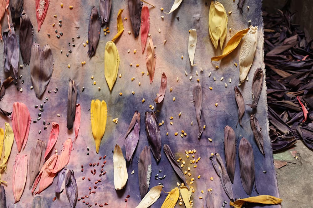 Memories of Corn and Rice — View 7 — Jay Lee