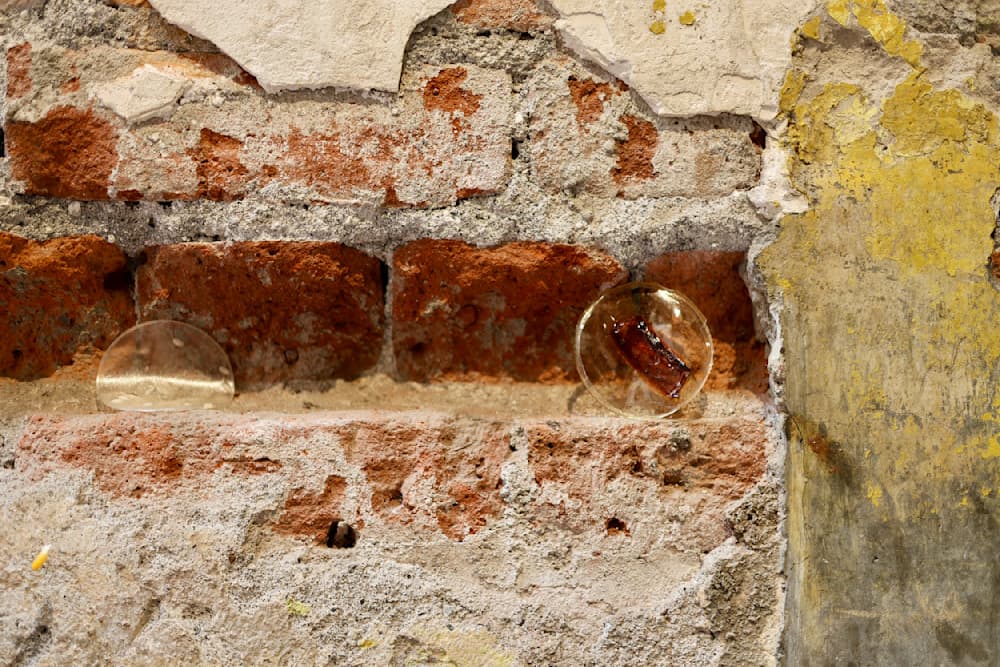 Memories of Corn and Rice — View 12 — Jay Lee