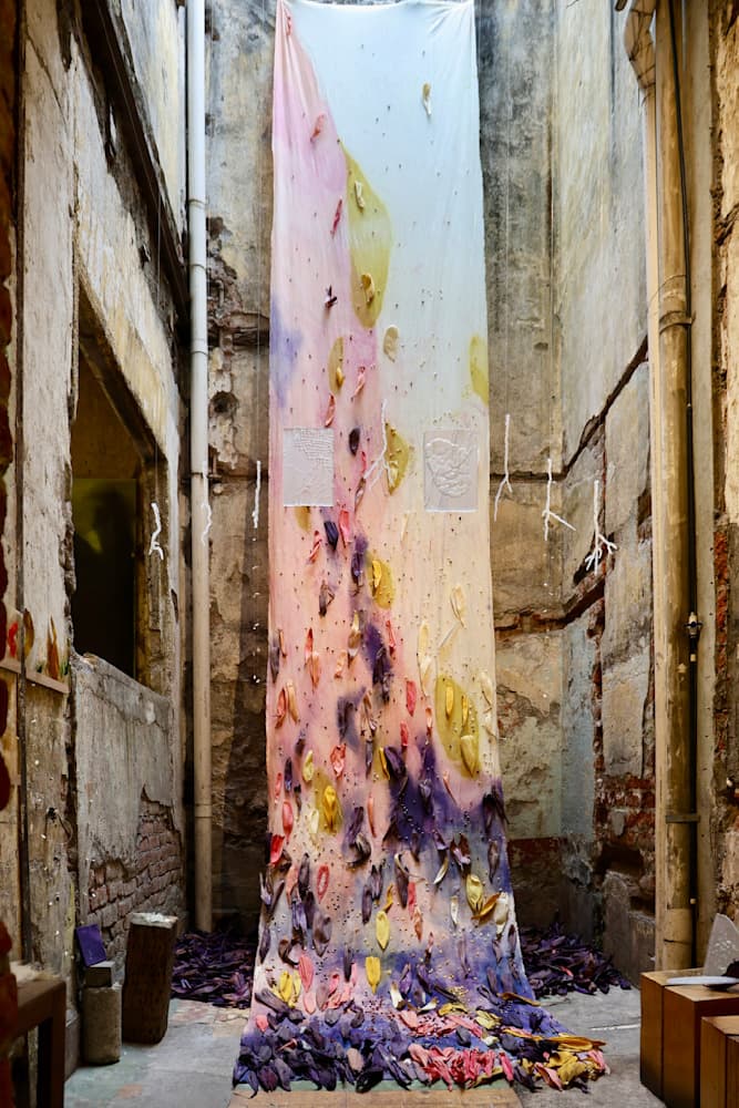 Memories of Corn and Rice — View 2 — Jay Lee