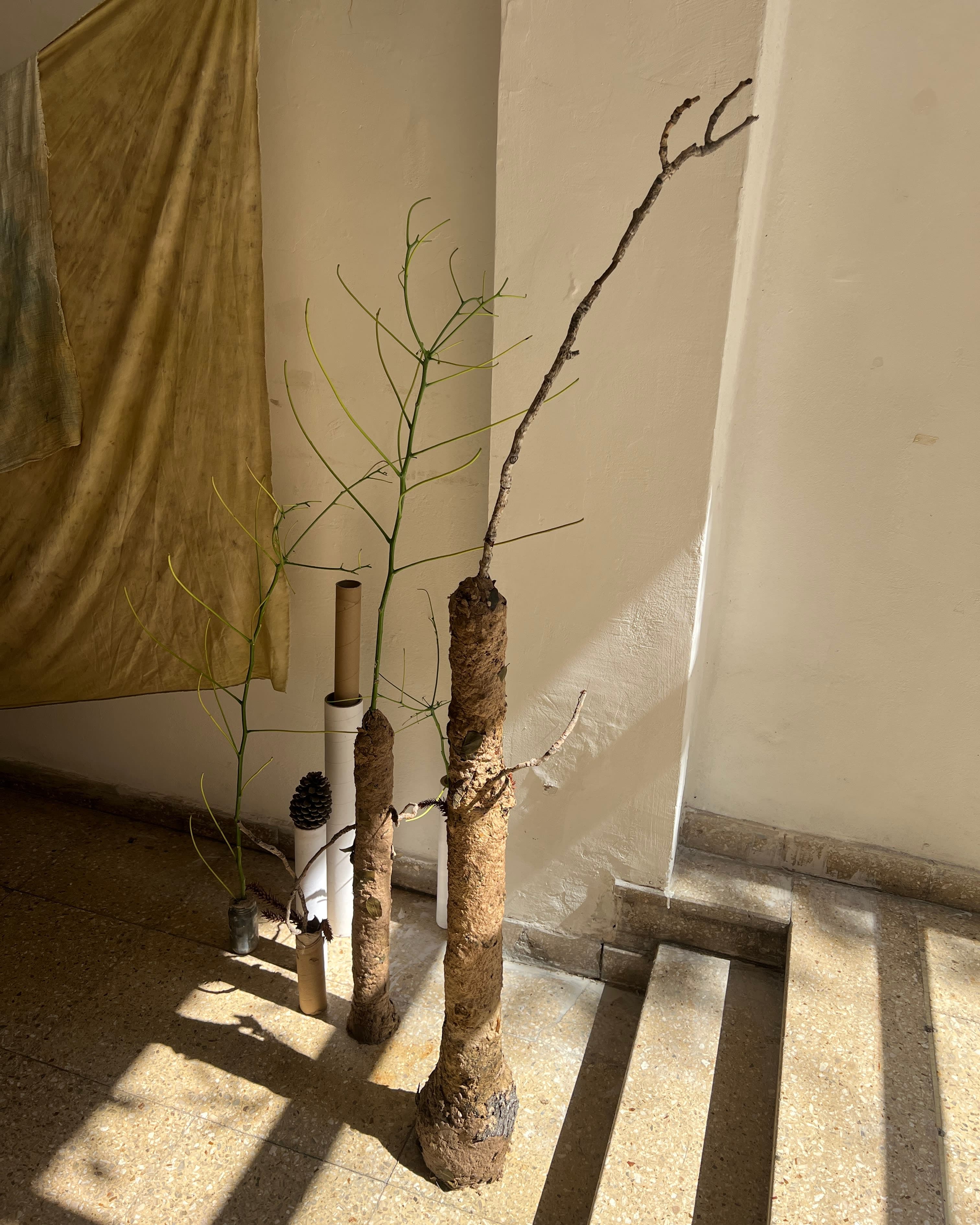 Open Studio — View 2 — Jay Lee