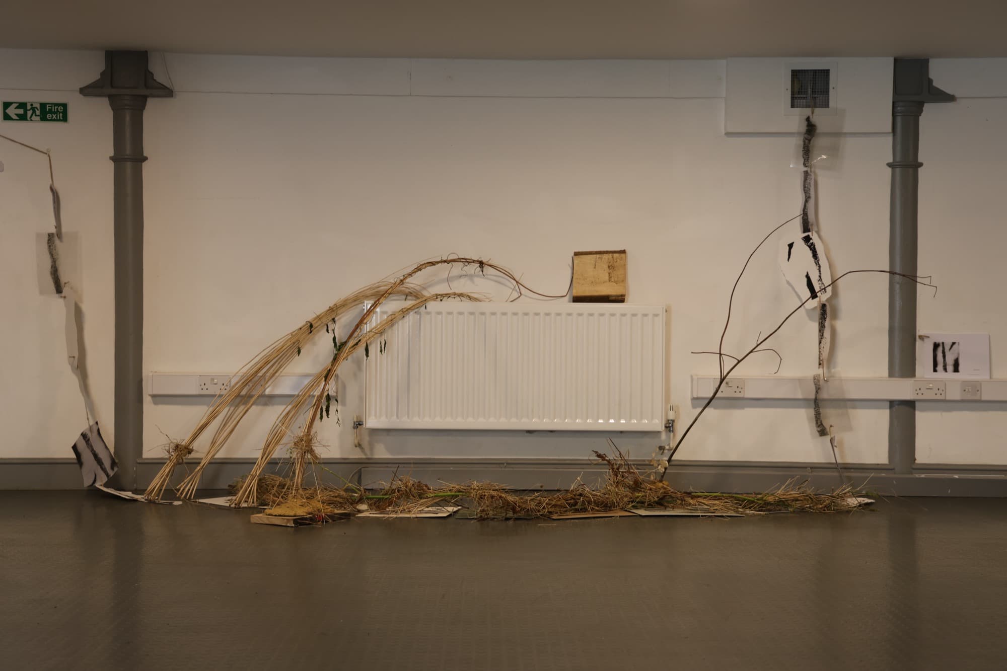 Shelter — Installation of willow tree branch, grass, lime tree branch, mud, bind weed, wood block, yarn, snake skin, screen prints, art book, and a video — Jay Lee