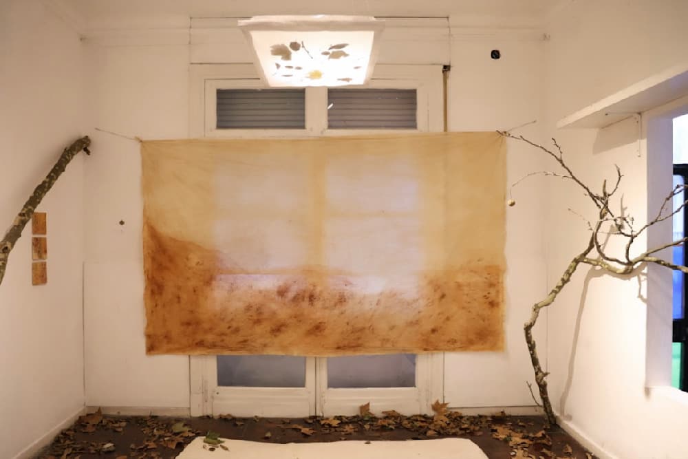 Making a Forest — Universal Plants I — Natural-dyed with plane tree leaves and natural red earth pigment from Misiones, Argentina on canvas, installed with leaves and branches of plane tree — Jay Lee