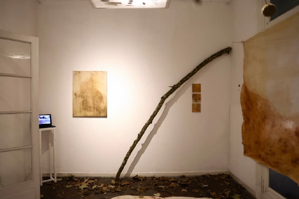 Making a Forest — Universal Plants II — Natural-dyed with plane tree leaves and natural red earth pigment from Misiones, Argentina on canvas, installed with leaves and branches of plane tree — Jay Lee